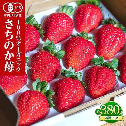 とくしまオーガニックいちご 大粒12〜15粒(約380g)1箱|イチゴ フルーツ 果物 苺 国産 有機いちご オーガニックいちご 贈答用[2026年12月下旬から順次発送]