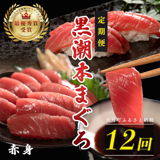【12回お届け定期便】赤身 本マグロ 定期便 PT0080_0524