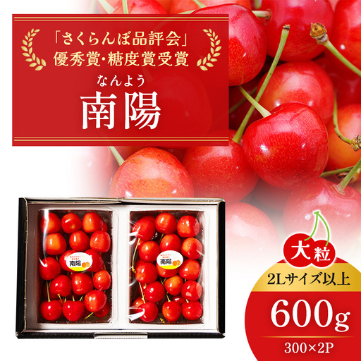 さくらんぼ 600g 南陽 2Lサイズ以上 サクランボ