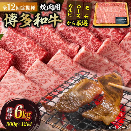 【全12回定期便】博多和牛焼肉用 500g 牛肉 BBQ [ABBP035]