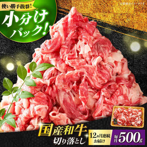 【全12回定期便】博多和牛切り落とし500g 牛肉 肉 [ABBP044]