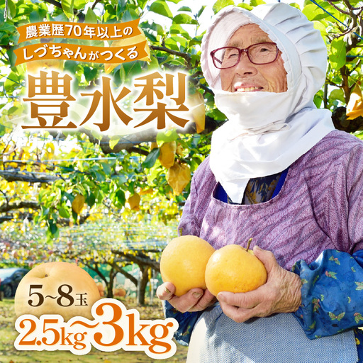 【先行予約】しづちゃんが作る 豊水梨 5～8玉入（2.5～3kg）農業歴70年以上！/ なし 果物 旬 フルーツ 甘い ジューシー 果汁 くだもの シャキシャキ 人気 完熟 もぎたて みずみずしい 越前梨 送料無料 福井 あわら市 ※2026年9月上旬以降順次発送予定 [aw075-a007]