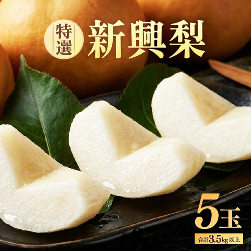 [先行予約]しづちゃんが作る特選新興梨 5玉入(3.5kg以上)農業歴70年以上! なし 果物 旬 フルーツ 甘い ジューシー 果汁 くだもの シャキシャキ 人気 完熟 もぎたて みずみずしい 越前梨 送料無料 福井 あわら市 ※2026年10月上旬以降順次発送予定 [aw075-a010]