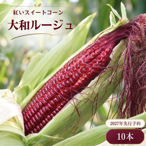 【2027年先行予約】紅いスイートコーン 大和ルージュ (10本) 山梨県都留市産 ｜ 希少な赤いとうもろこし 甘い スイートコーン トウモロコシ 産地直送 送料無料【浅田農園