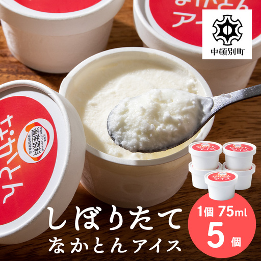 アイス セット アイスクリーム 5個