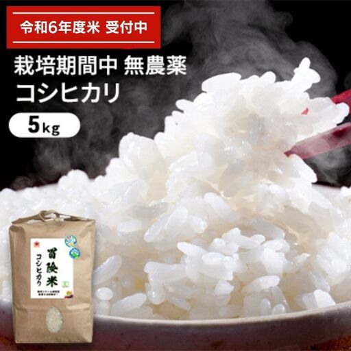 コシヒカリ 令和6年産 5kg お米 精米 コシヒカリ 白米