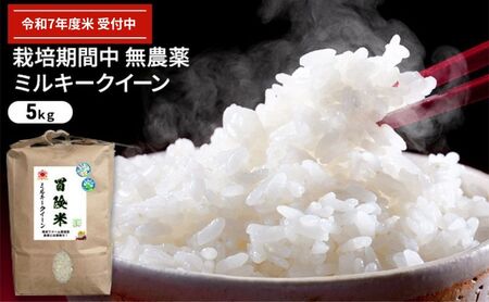 ミルキークイーン 令和7年産 5kg ミルキークイーン 白米