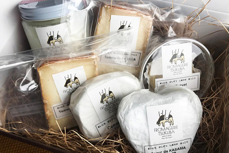毎日ちょこっと しあわせ チーズ FROMAGERIEつくばのおすすめ6点セット IR-003