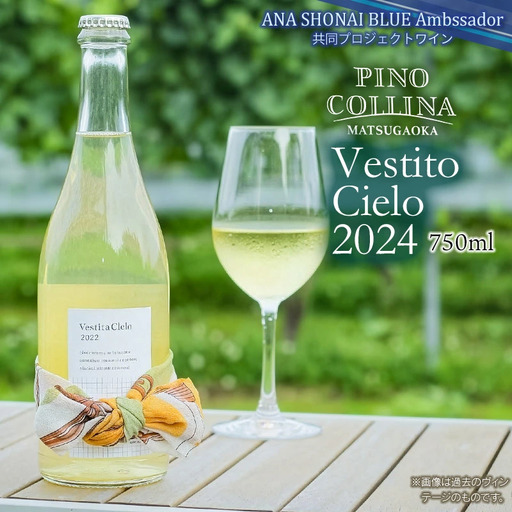 白ワイン　Vestito Cielo 2024　750ml×1本　株式会社エルサン　国産 日本ワイン