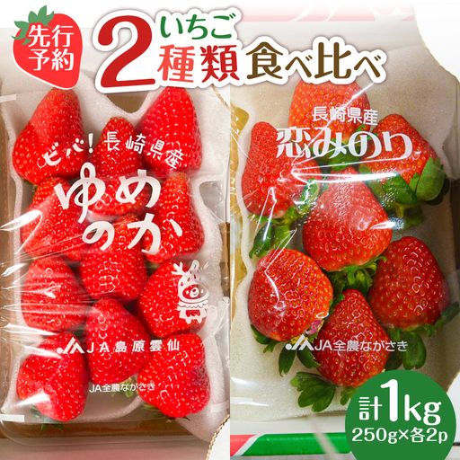 【2027年1月-発送】いちご2種類 食べ比べ 約250g×4P [SAC006] いちご