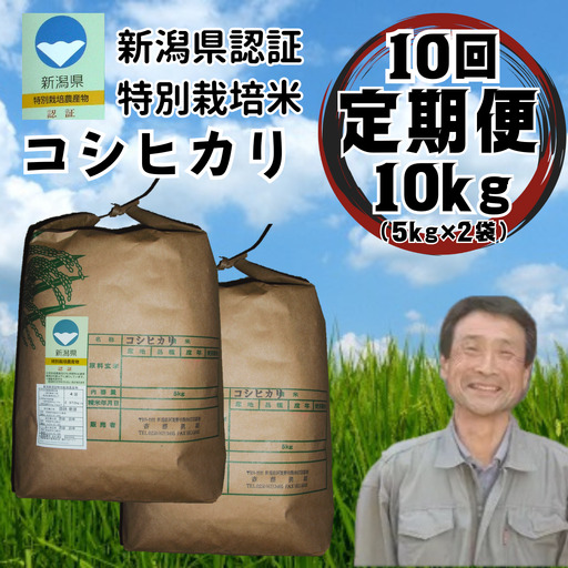 【令和8年産新米予約】【10か月定期便】特別栽培米 コシヒカリ 10kg×10回 新潟県認証 新潟県 米 こめ コメ 白米 精米 さいとう農園 新米 新米予約 令和８年度産 9月下旬より順次発送 1G03301