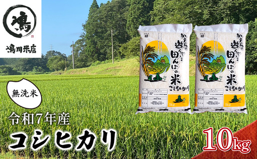 令和7年 コシヒカリ　無洗米　10kg お米 精米 粘りつやつや 甘み 美味しい 新鮮 