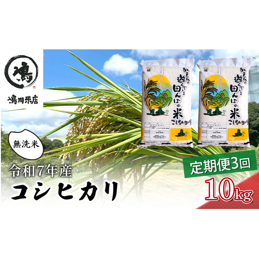 令和7年 3ヶ月定期便　コシヒカリ　無洗米　10kg（5kg×2）【定期便 お米  粘り甘み】 精米 粘りつやつや 美味しい 新鮮 