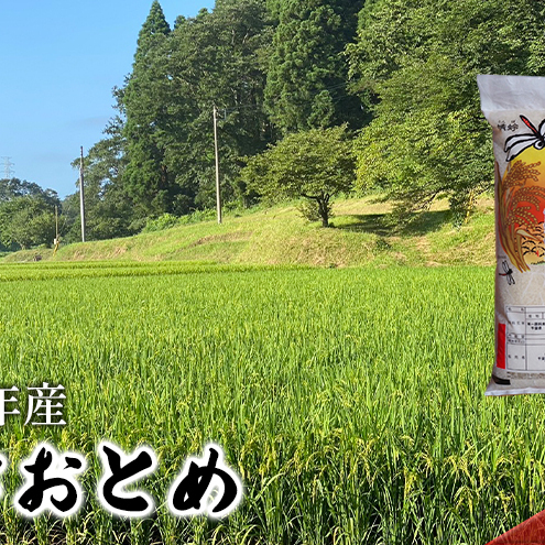 [令和8年産]ふさおとめ 無洗米5kg[お米精米大粒粘り気ファン]千葉県