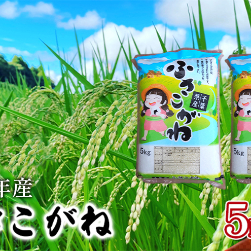 [令和8年産]ふさこがね 無洗米10kg(5kg×2)[お米こめコメおこめ]千葉県