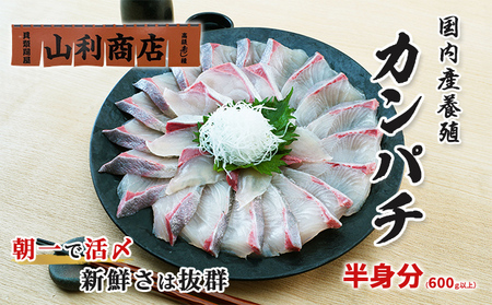 カンパチ 千葉市場直送 活〆 スキンレスロイン 刺身用 カンパチ[半身分][冷蔵]