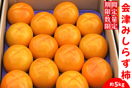 [2026年10月下旬から11月下旬まで発送予定]みしらず柿 約5kg|2026年産 令和8年産 身しらず柿 柿 かき カキ フルーツ 果物 産直 会津産 数量限定 [016-0192]