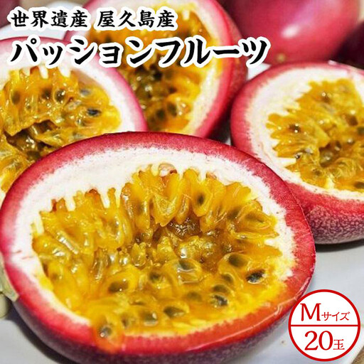 [2027年発送先行受付]絶品パッションフルーツM玉(20玉)“屋久島の恵み"と“愛情"込めて!