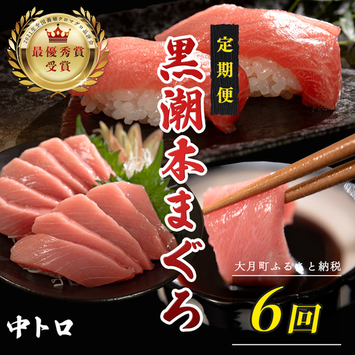 訳あり 不定貫 定期便6回 日本一!黒潮本まぐろ 中トロ (PT0080_0526)