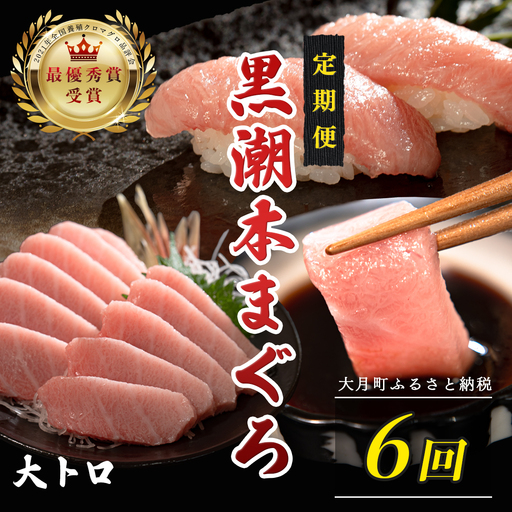 訳あり 不定貫 定期便6回 日本一!黒潮本まぐろ 大トロ (PT0080_0529)