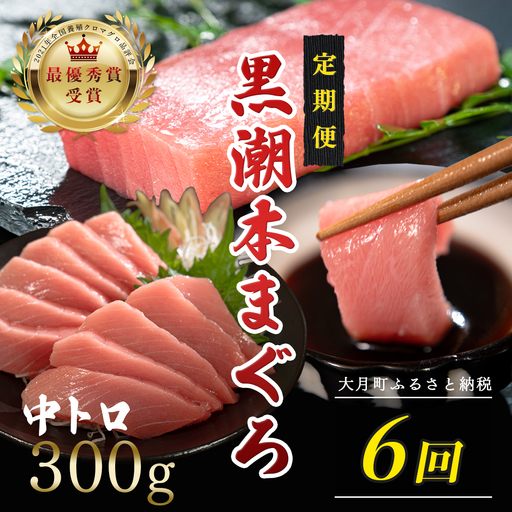 訳あり 不定貫 定期便6回 日本一!黒潮本まぐろ 中トロ (PT0080_0531)