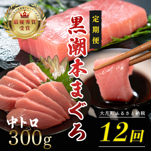 訳あり 不定貫 定期便12回 日本一!黒潮本まぐろ 中トロ (PT0080_0532)