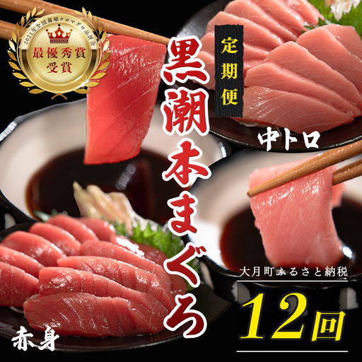 訳あり 不定貫 定期便12回 日本一!黒潮本まぐろ 中トロ・赤身 (PT0080_0533)