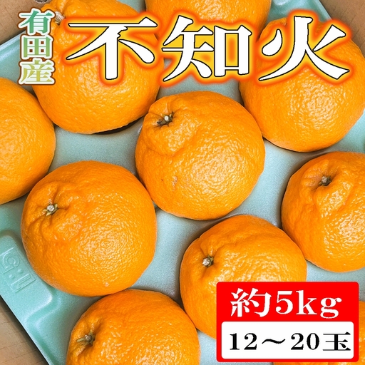  【濃厚】 有田 の 不知火 約 5kg （12玉〜20玉おまかせ） / 甘い 和歌山 柑橘 ※2027年2月下旬～3月下旬頃順次発送予定 （日付指定不可）【tec010-r-12】