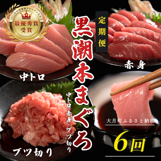 訳あり 不定貫 定期便6回 日本一!黒潮本まぐろ 中トロ・赤身・ブツ切り（3種交互） (PT0080_0542)