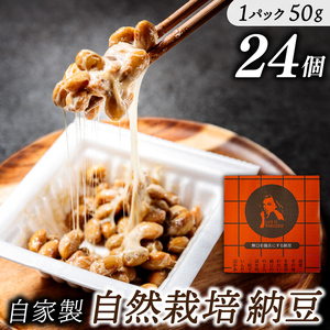 自然栽培納豆 50g×24個 納豆の聖地「金砂郷」の職人ひとつひとつ仕込む甘味と旨味の際立つ「鹿嶋在来大豆 納豆」(KW-9)