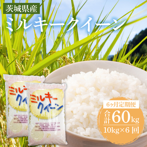 6ヶ月定期便 米 ミルキークイーン 10kg (5kg × 2袋)  6ヶ月定期便 米
