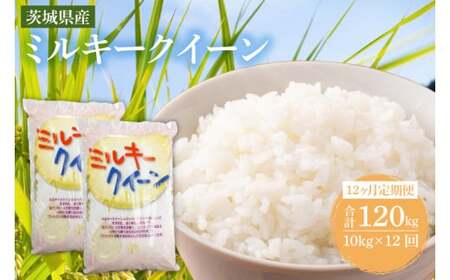 【12ヶ月定期便】茨城県産ミルキークイーン（KY-10）