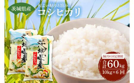 [隔月定期便(計6回)]茨城県産コシヒカリ(KY-13)