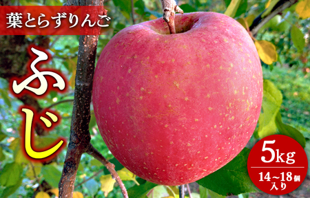葉とらずりんご【ふじ】5kg　14個～18個入り【10月31日受付終了】※2026年11月～発送