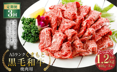 ＜ R8年熊本地震復興支援 ＞【3ヶ月定期便】 A5ランク くまもと 黒毛和牛 焼肉用 牛肉 牛 400g×3回 1.2kg 熊本県 上天草市