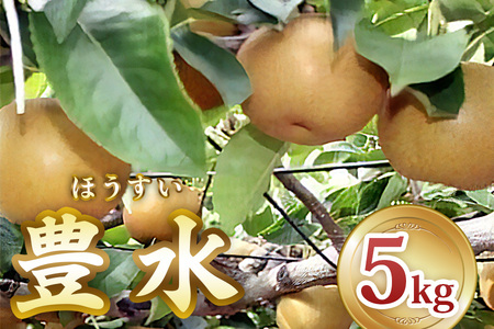 [2026年8月から発送] 印西の梨 豊水 [0426]