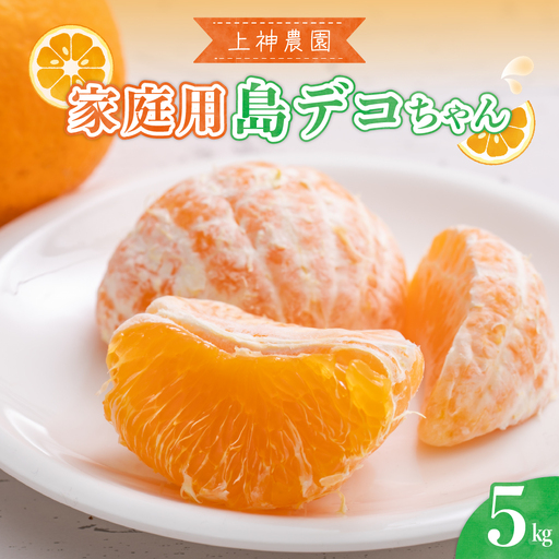 先行受付 2027年2月中旬～発送 島デコちゃん約5kg 家庭用 柑橘