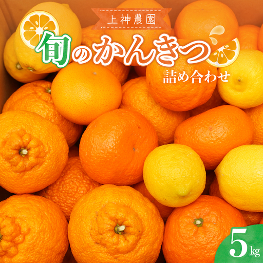 [先行受付][2026年11月中旬〜発送]上神農園 旬の柑橘詰め合わせ 約5kg