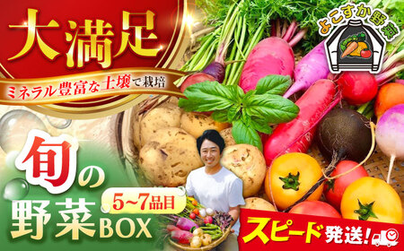 野菜セット(5~7品目)野菜詰め合わせ [AKCE001]
