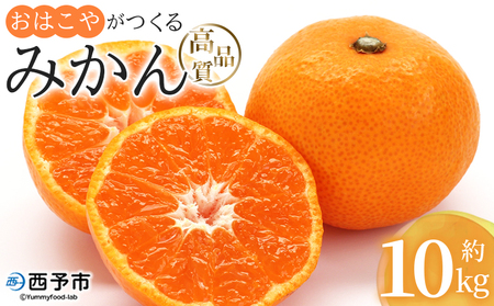 ＜おはこやがつくる 高品質みかん 約10kg（S～Lサイズ）＞ 果物 フルーツ 柑橘 ミカン 蜜柑 特産品 西宇和 愛媛県 西予市【常温】『2026年11月中旬～12月中旬迄に順次出荷予定』MOK0015