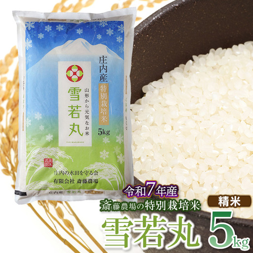 [令和7年産]斎藤農場の特別栽培米 雪若丸 精米 5kg(5kg×1袋) 山形県鶴岡市 [K-756]
