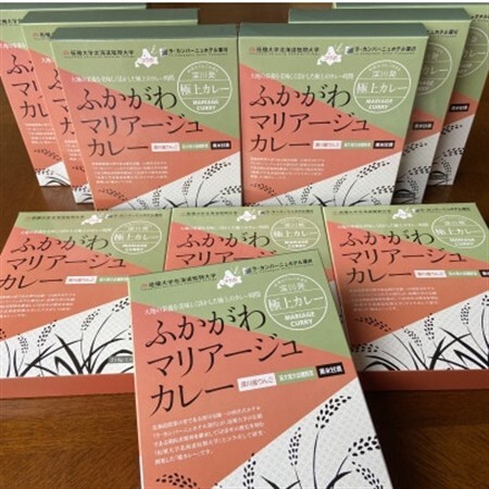ふかがわマリアージュカレー 10個入り【1422798】