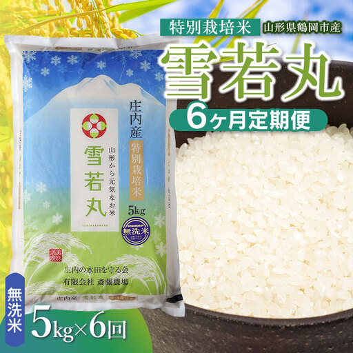 【令和8年産 新米】【定期便6ヵ月】特別栽培米 雪若丸 無洗米 5kg(5kg×1袋） 山形県鶴岡市 K-840 斎藤農場