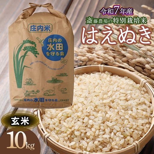 [令和7年産] 斎藤農場の特別栽培米 はえぬき 玄米 10kg(10kg×1) 山形県鶴岡市 [K-7114]