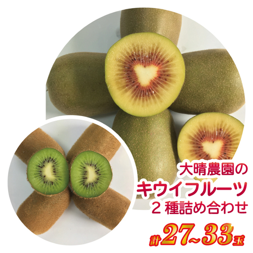 [先行予約][12月上旬より発送開始][ヘイワード約3.6kg(21〜27玉入り)]贈答用大箱大晴農園のキウイフルーツ(BY004-2)