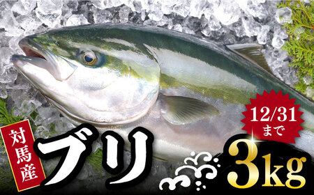 ブリ 3kg セット 短期蓄養 鮮度抜群 新鮮 冷蔵 刺身 漬け丼 刺身 ブリ丼 カルパッチョ アラ付き カマ  [WBV002]