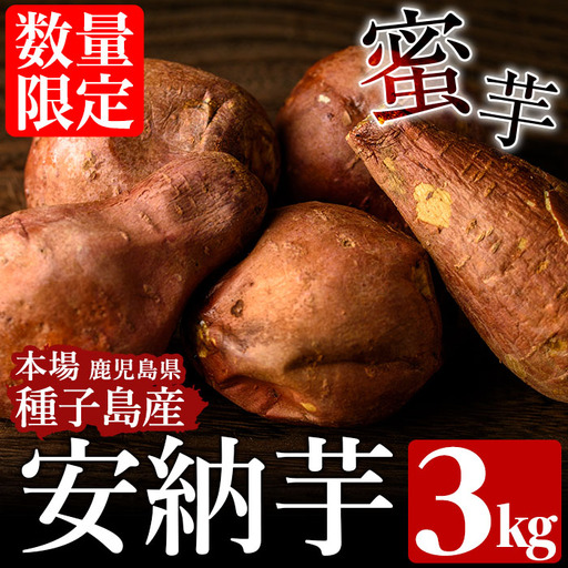 安納芋 さつまいも 3kg [種子島安納株式会社]n222