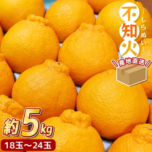 不知火 約 5kg(18〜24玉) 先行予約 ＼ みかんの名産地 和歌山県 産/ / みかん 果物 柑橘 フルーツ ※2027年2月中旬〜3月下旬頃発送予定[hdm010-r-5B]