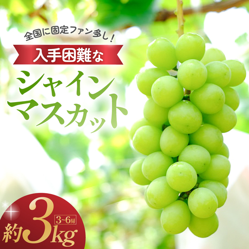シャインマスカット 3kg 3房～6房 山梨シャインマスカット