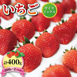 いちご 1種 400g (200g×2) 1～5月お届け 苺 果物 くだもの フルーツ おやつ ストロベリー strawberry 岩手県 大船渡市